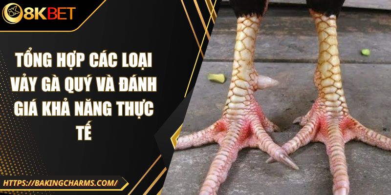 Tổng Hợp Các Loại Vảy Gà Quý Và Đánh Giá Khả Năng Thực Tế